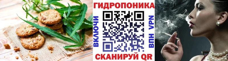 что такое   Каменка  Canna-Cookies конопля 