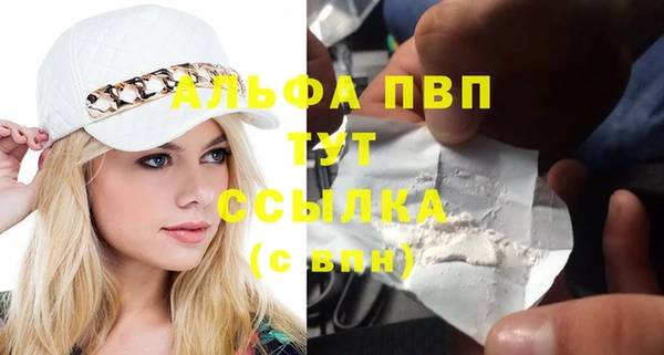 2c-b Ельня