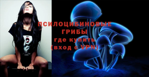 прущий лед Елизово
