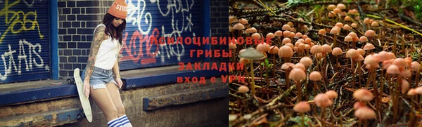 прущий лед Елизово