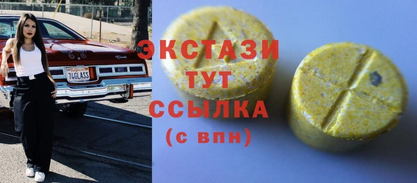 2c-b Ельня